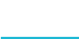 Ivis Travel